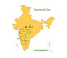 Our Branches in India
